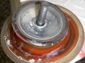01_diaphram